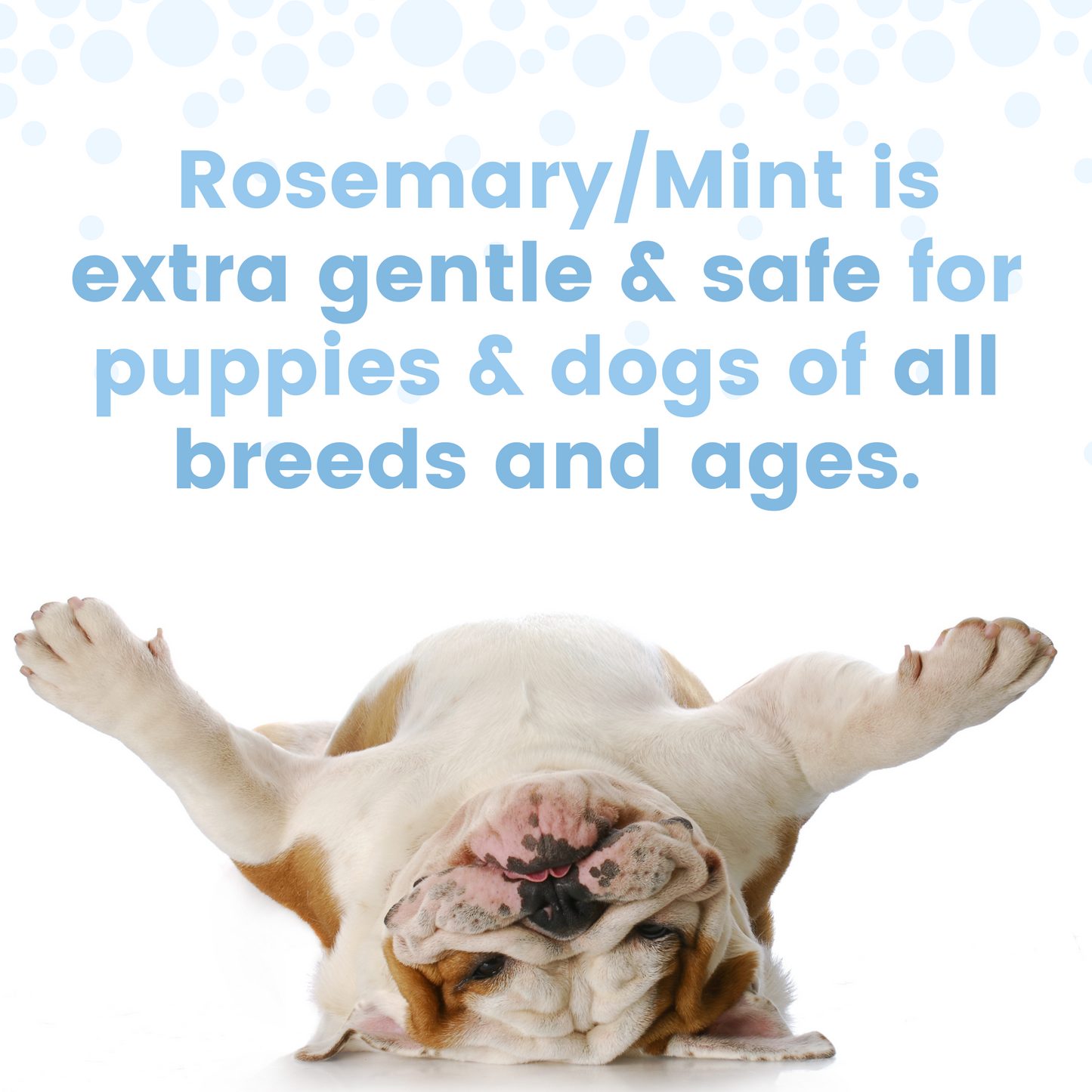 Washies Natural Dog Pod Wash (Rosemary Mint)